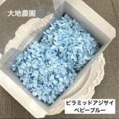 cotton rose様　ご専用のサムネイル