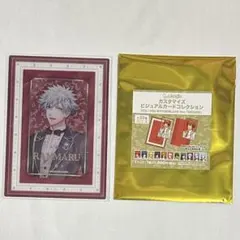 うたプリ ビジュカ 蘭丸