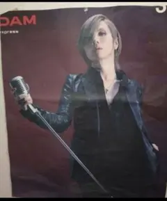 acidblackCherryポスター