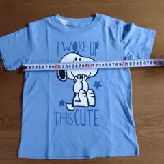 Item thumbnail for item e6aacd13-06d5-4b55-9ec2-0e2405f229da