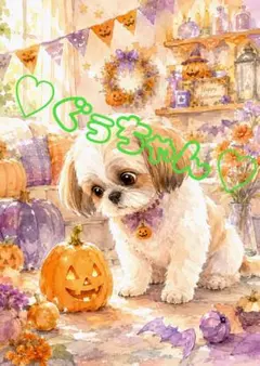 《一点限り》シーズー ハロウィン かぼちゃ 犬