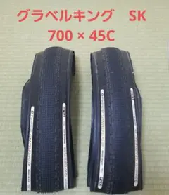 2025年最新】2本セット パナレーサー グラベルキングの人気