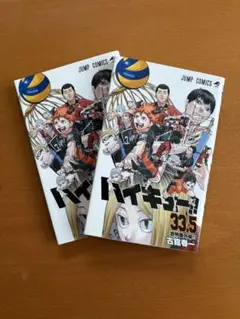 ハイキュー!! 音駒戦 映画特典 33.5巻 音駒番外編!! 2冊