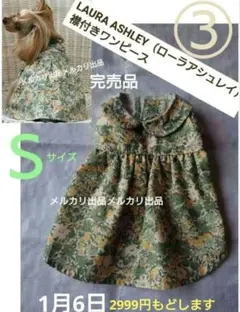 Item thumbnail for item b0e0a641-7552-4edf-a3de-907cc560c86a