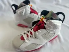 【USED】Air Jordan 6 ジョーダン6 26cm バックスバニー バッグス・バニーをテーマとしたエアジョーダン6“ヘア”が登場