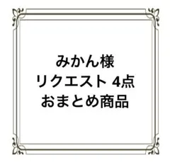 みかん様 リクエスト 4点 まとめ商品