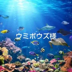 ウミボウズ様 リクエスト 3点 まとめ商品