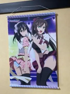 ストライク・ザ・ブラッド 姫柊雪菜＆煌坂紗矢華 B2タペストリー 美