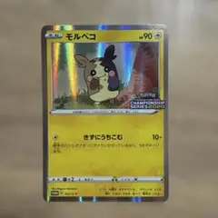 2026年最新】モルペコ チャンピオンシップの人気アイテム - メルカリ