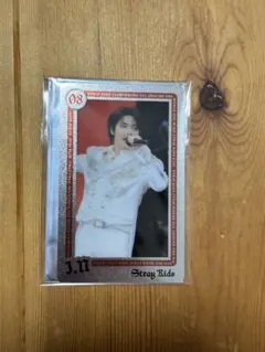 StrayKids エコパ スタジアム アイエン ライブフォトカード 事後販売