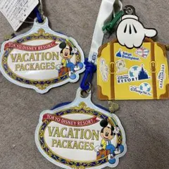 東京ディズニーリゾート バケーションパッケージ グッズセット - メルカリ