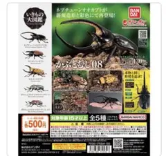 いきもの大図鑑 かぶとむし08 ネプチューンオオカブト改