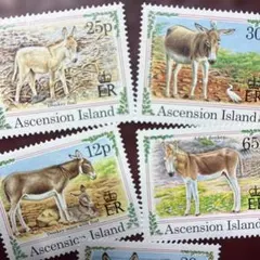 78238セール現品限　外国切手　英領アセンション島発行動物5種揃