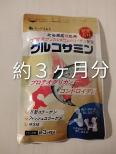 Item thumbnail for item ef52615e-07d0-490b-b309-dc655a956cbc