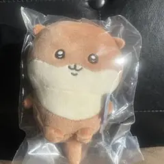 ナガノのカワウソ ぬいぐるみくじ D賞 マスコット - メルカリ