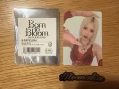 ランダムフォトカード　ステッカーセット　HANA MOMOKA