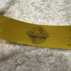 exile the reason ミュージシャン