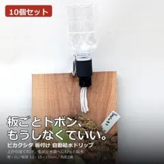板付けビカクシダ専用 ドリップ式給水器 連絡用 - メルカリ