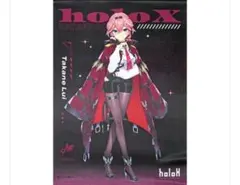 ホロライブ 鷹嶺ルイ B2タペストリー holoX