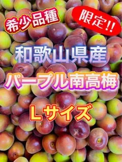 和歌山県産 完熟南高梅‼️L〜2L混合‼️kabo 様専用♥️10kg - メルカリ