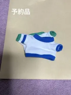 ご予約品　　メンカラぬい服