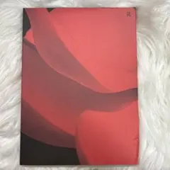 (g)i-dle i-dle I BURN アルバム