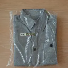 Item thumbnail for item bac44942-160b-410e-babf-ebc60f3336b0