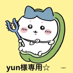 専用出品