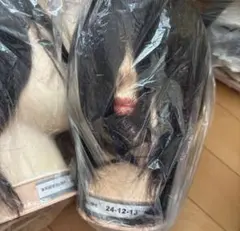 2026年最新】カットウィッグ 三矢の人気アイテム - メルカリ