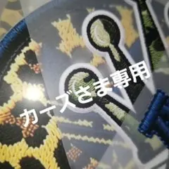 カーズさま専用