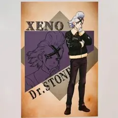 ゼノ 特典ポストカード フライトジャケット スキマストア Dr.STONE