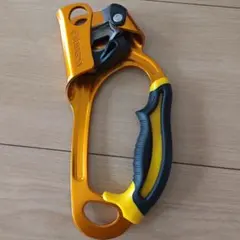33796922_6