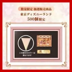 ピースオブザドリーム あのウィンドウ展示の一部が手に入る！ 「東京ディズニーリゾート40