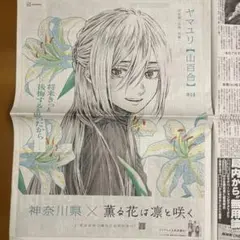 薫る花は凛と咲く 朝日新聞　全面広告 ヤマユリ神奈川県　2025年 10月9日