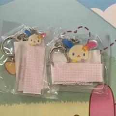 サンリオ ピューロランド限定　お名前シール用アクリルキーホルダー　ウサハナ