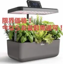 水耕栽培キット 水耕栽培セットのサムネイル