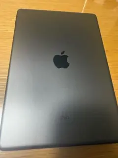 iPad 9世代 256GB Wi-Fiモデル　100%