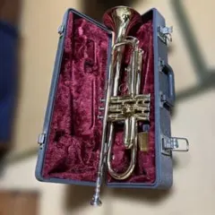 2025年最新】ytr-235の人気アイテム - メルカリ