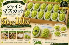 完熟シャインマスカット 9房5kg以上｜糖度17度以上｜朝採れ・同日出荷 完熟シャインマスカット 9房5kg以上｜糖度17度以上｜朝採れ・同日出荷