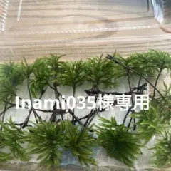 Inami035様　リクエスト7点