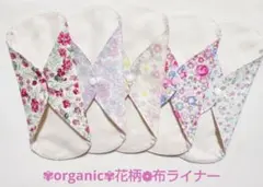 Item thumbnail for item b9617fa3-7924-48e2-bad7-46ba79a48346