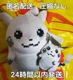 はじまりのピカチュウ　２点セット