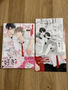 『一途な幼馴染の恋について』 あさ コミコミ有償特典付き