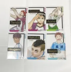 ハイキュー!! ファンパーク 箔押しクリアカード 6枚セット