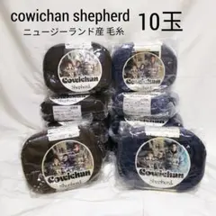 カウチン6ストランド cowichan shepherd 毛糸 毛100 10玉