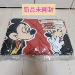 2025年最新】ミニーブランケットの人気アイテム - メルカリ