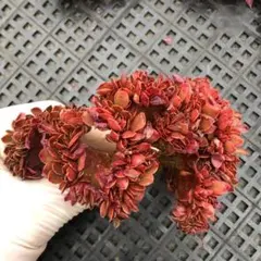 sassy様 リクエスト 8点 まとめ商品