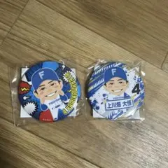 北海道日本ハムファイターズ 上川畑大悟 缶バッジ 2個セット