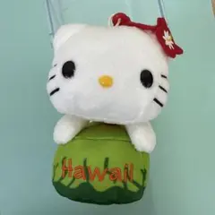 激レア　ハワイ限定　ダイヤモンドヘッド限定　　サンリオ　Sanrio