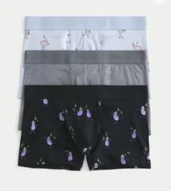 Hollister　アンダーウェア　メンズ